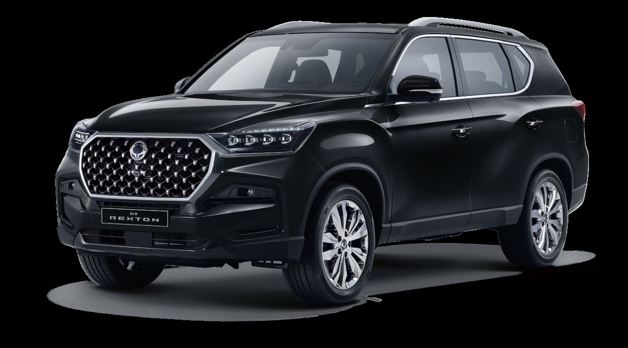 Rexton club lak, CLUB+, 7m