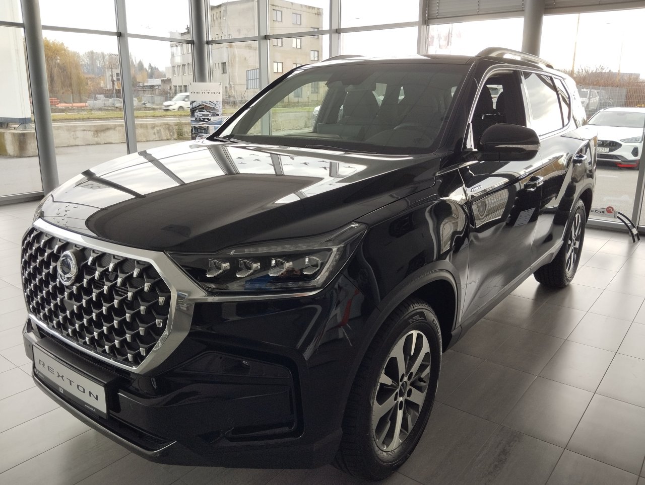 Rexton club lak, CLUB+, 7m